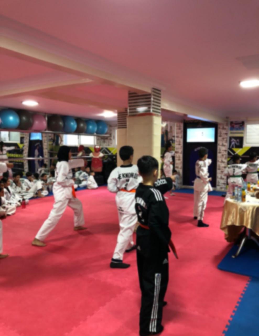 ASSOCIATION TOUHFA DE TAEKWONDO — photo 2