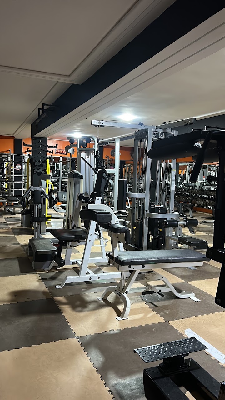 Venice Gym — photo 2
