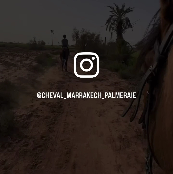 Equitation Cheval Marrakech - Horseback Riding Palmeraie — photo 2