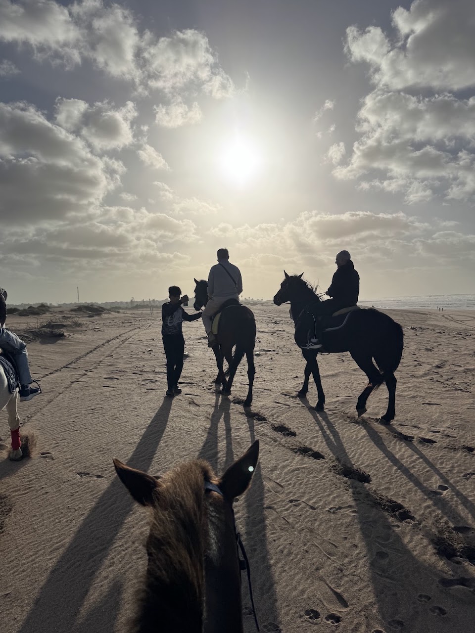 Férem pour dés balade cheval — photo 3