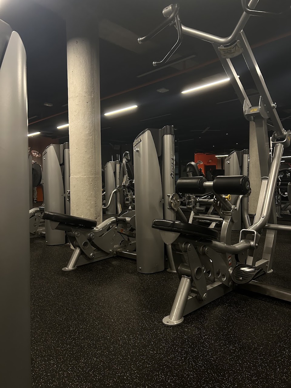The fitness club