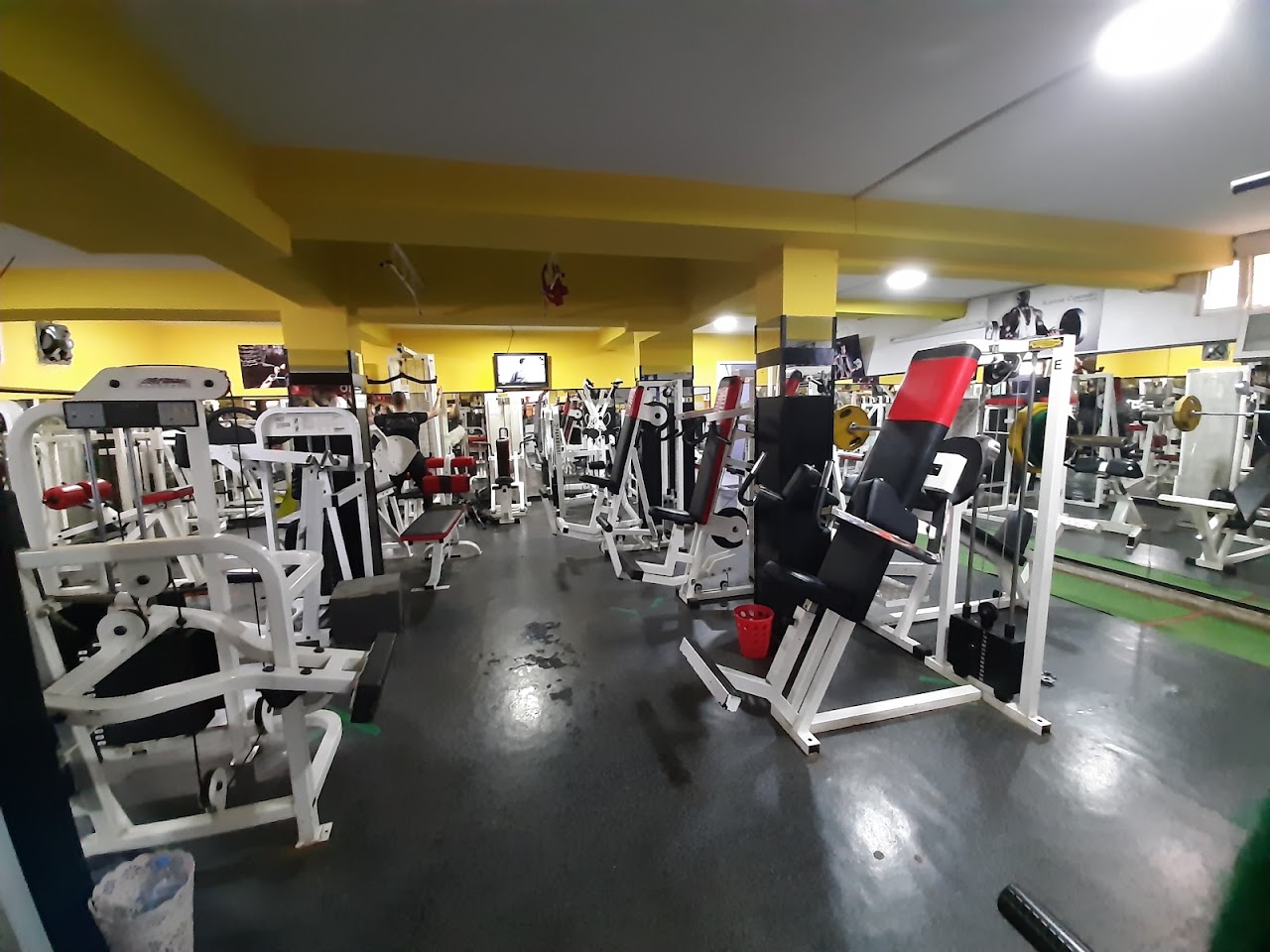 Life Fitness Fes — photo 2