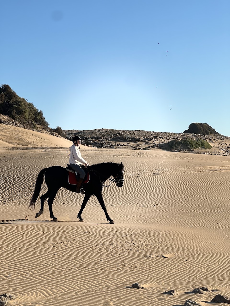 Sidi kaouki horse riding