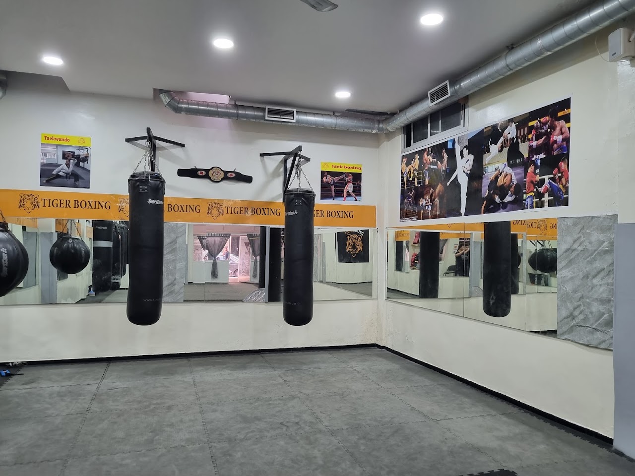 Tiger Boxing