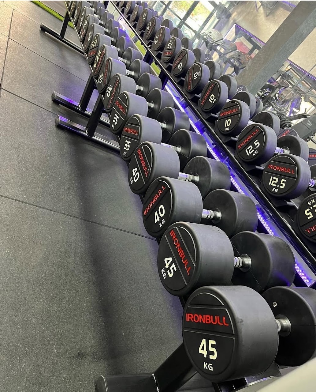 Olympia gym — photo 3