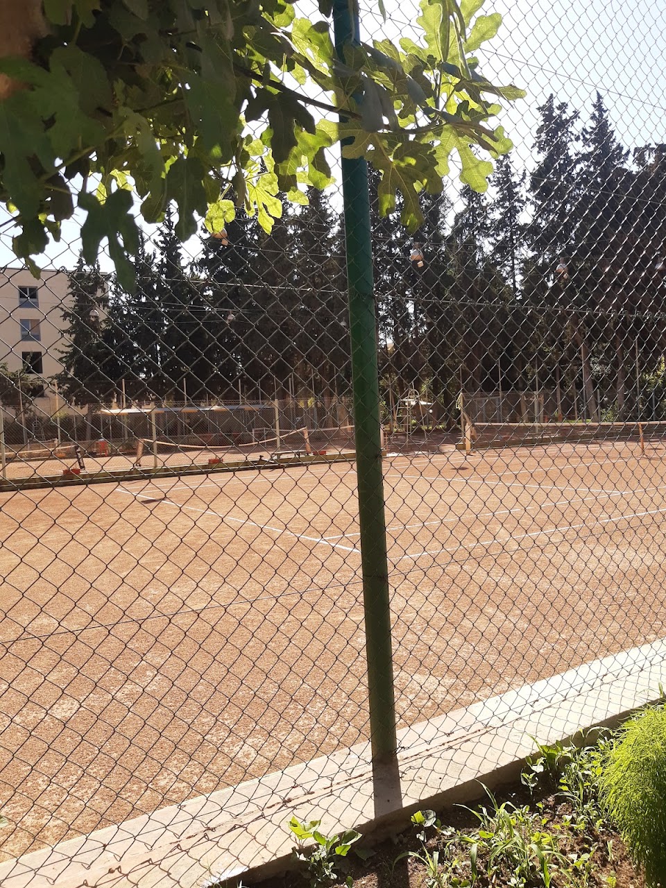 ONE CLUB — photo 3