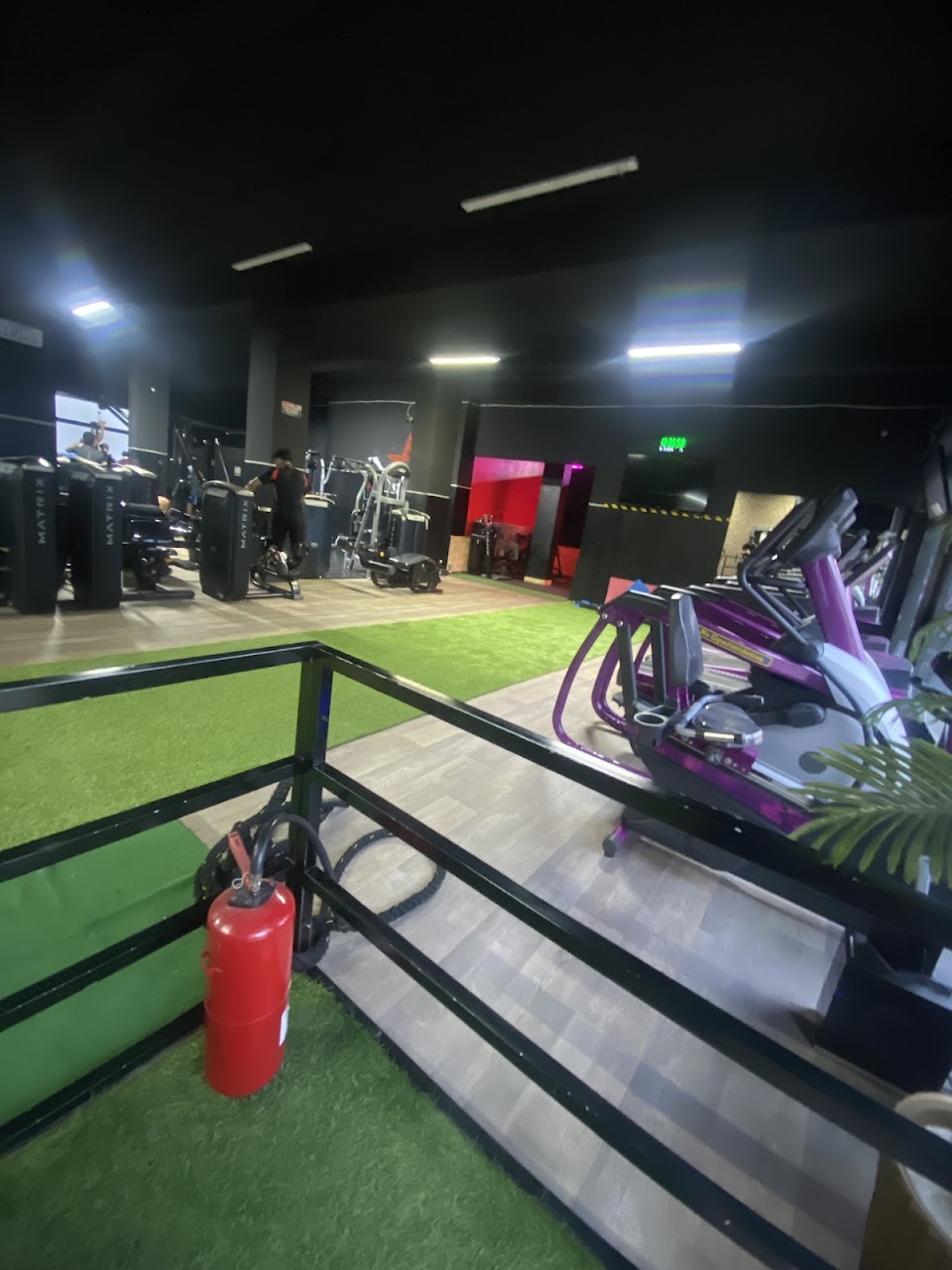 Gold Fitness — photo 2