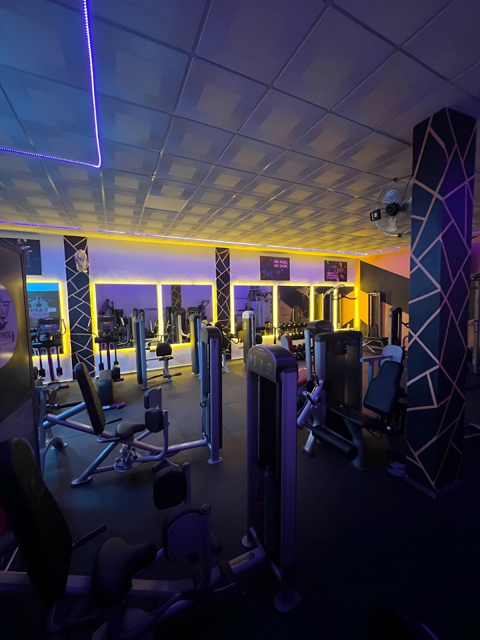 Twins Fitness — photo 3
