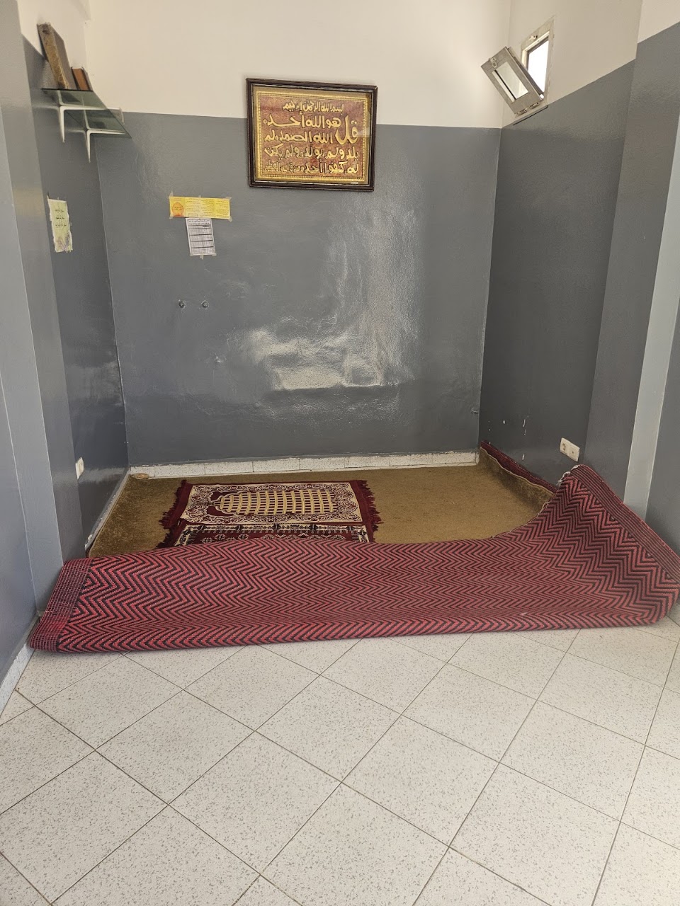 القاعة المغطاة متعددة الرياضات مجاهد — photo 4