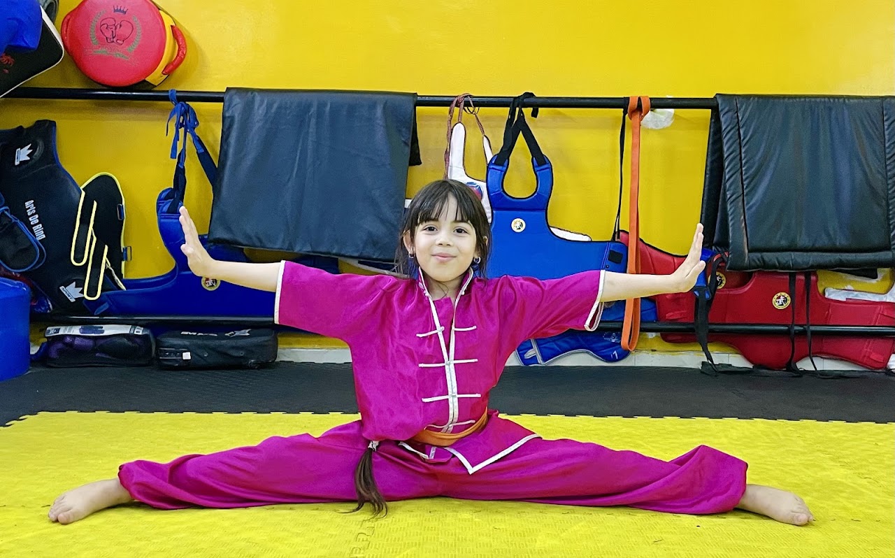 Wushu kung fu sale — photo 2
