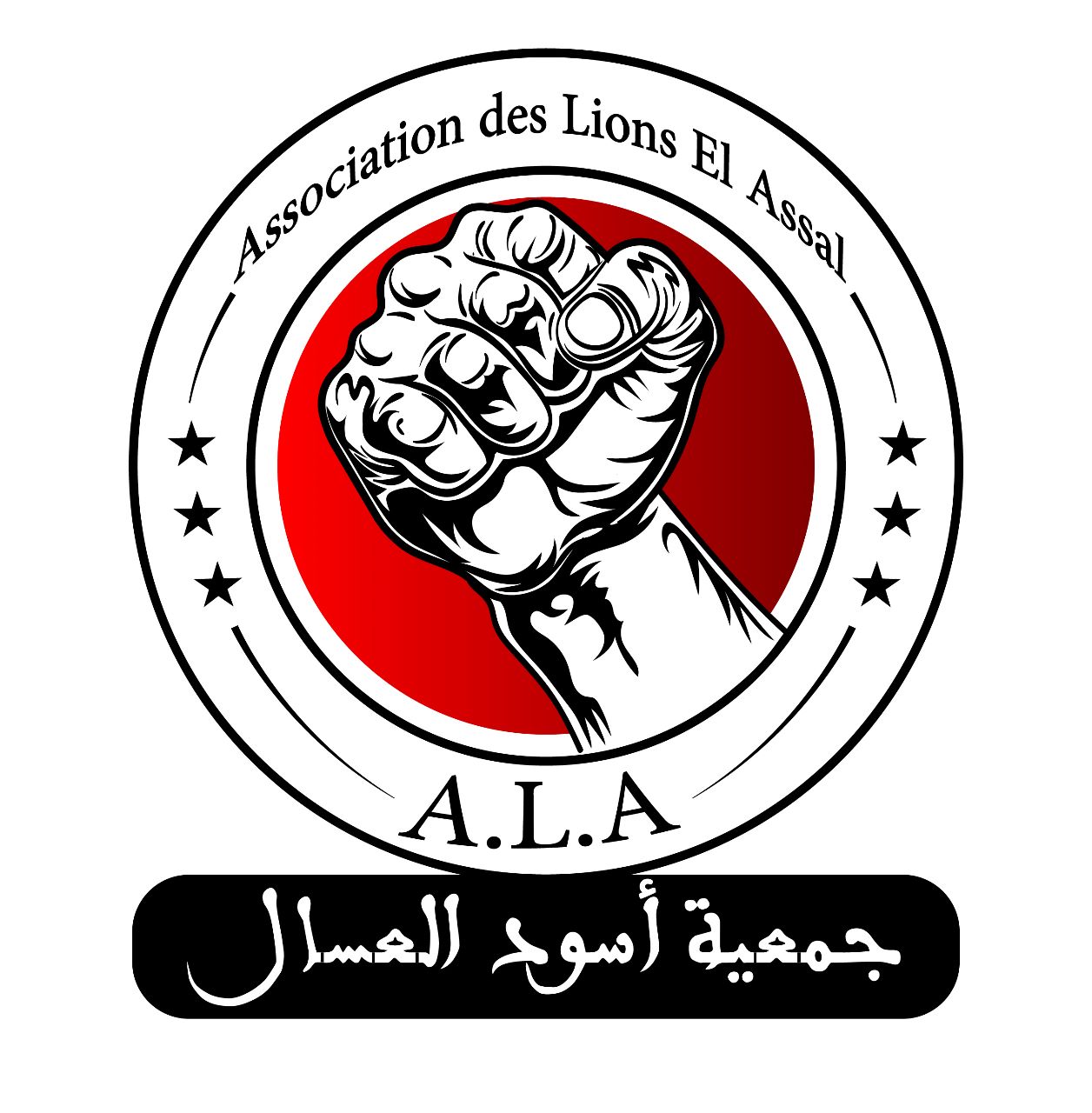Association des Lions El Assal — photo 3