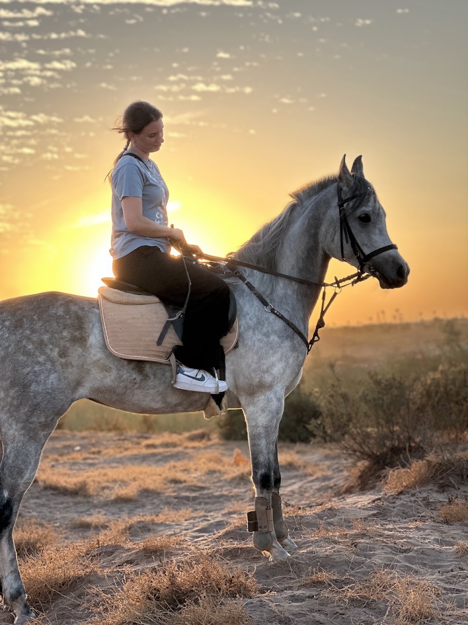 Marrakech Cheval — photo 3