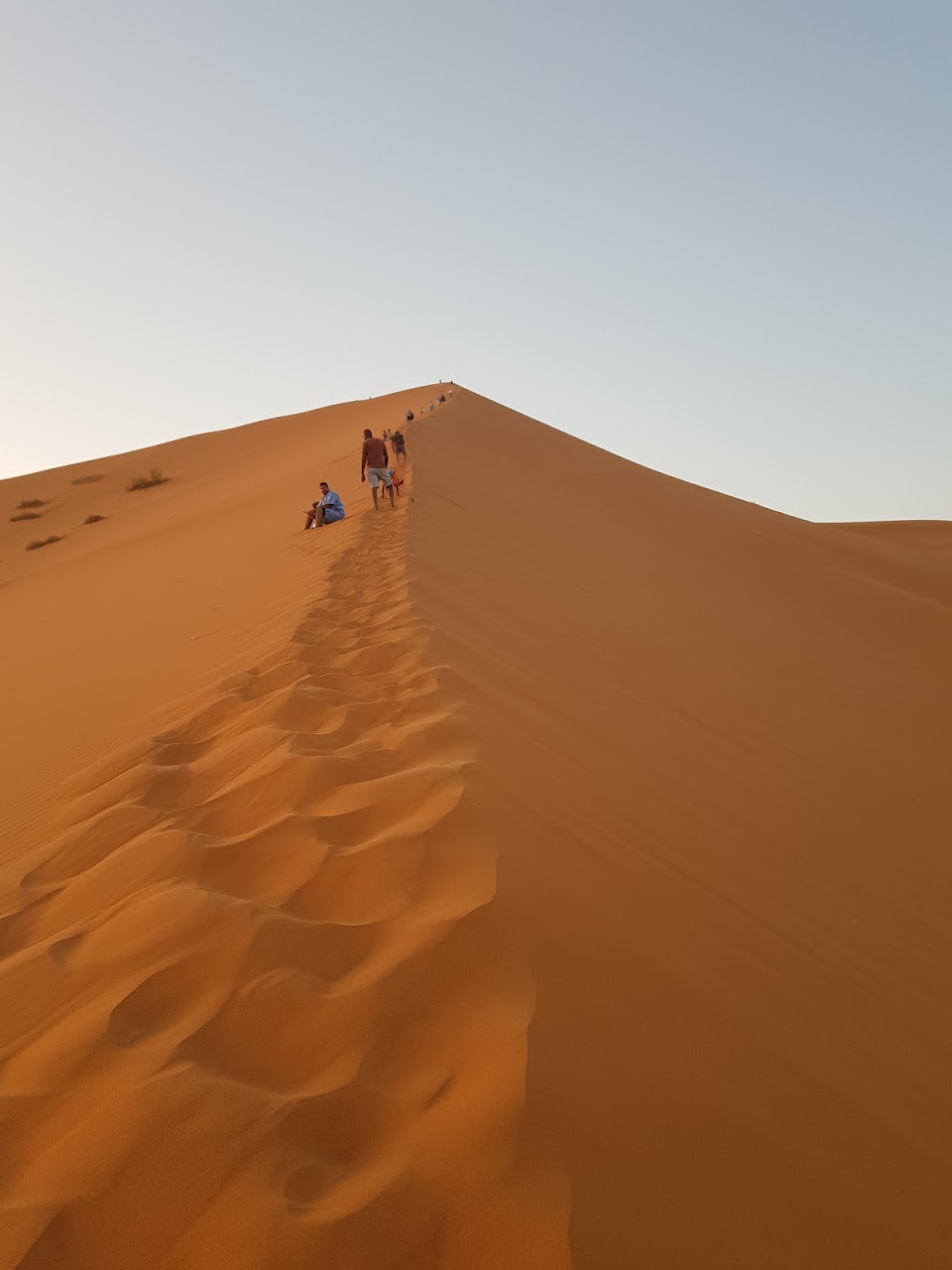 جمعية الأخوين لكمال الأجسام — photo 2
