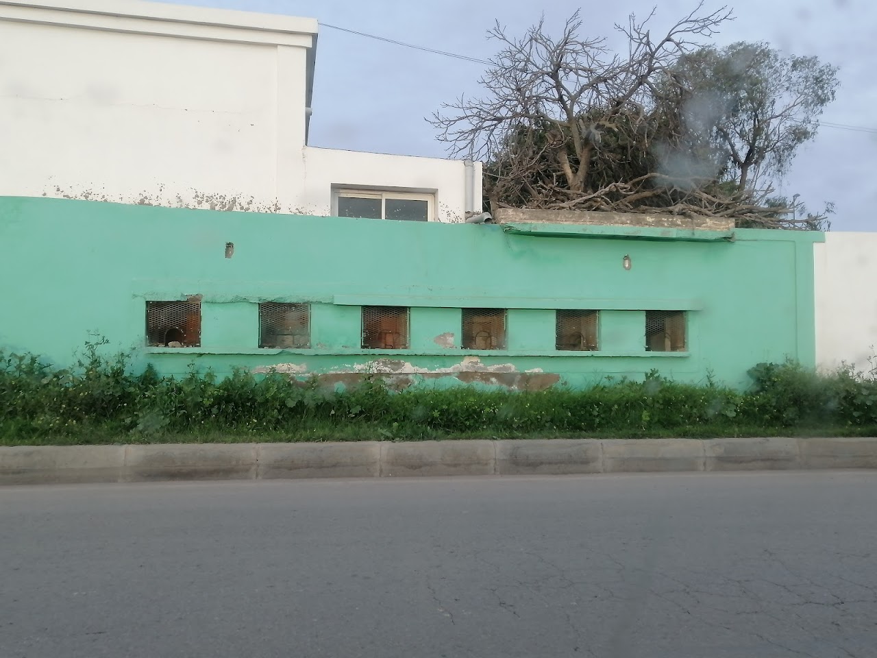 Racing de Casablanca — photo 3