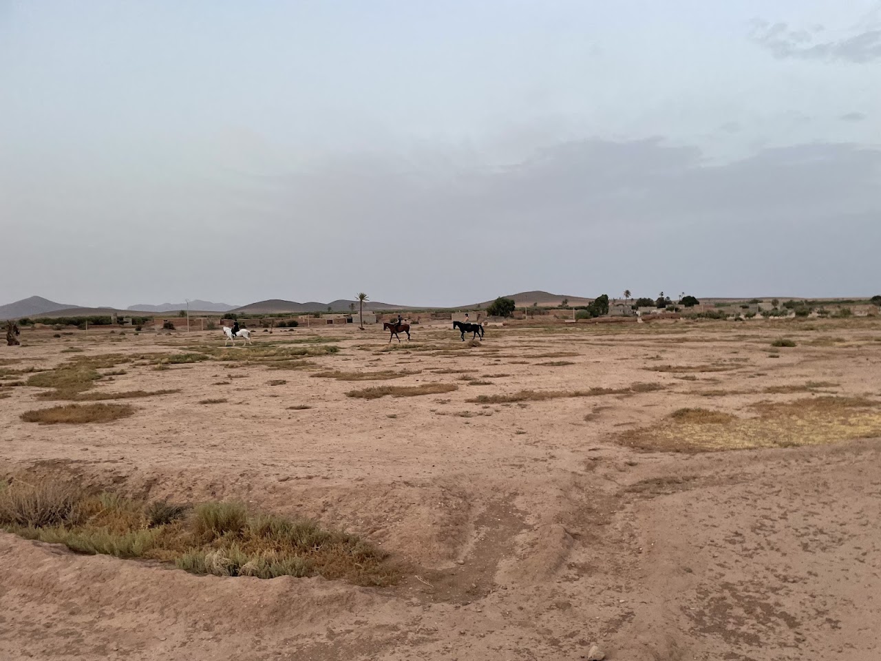 Sunset Horse Ranch — photo 2