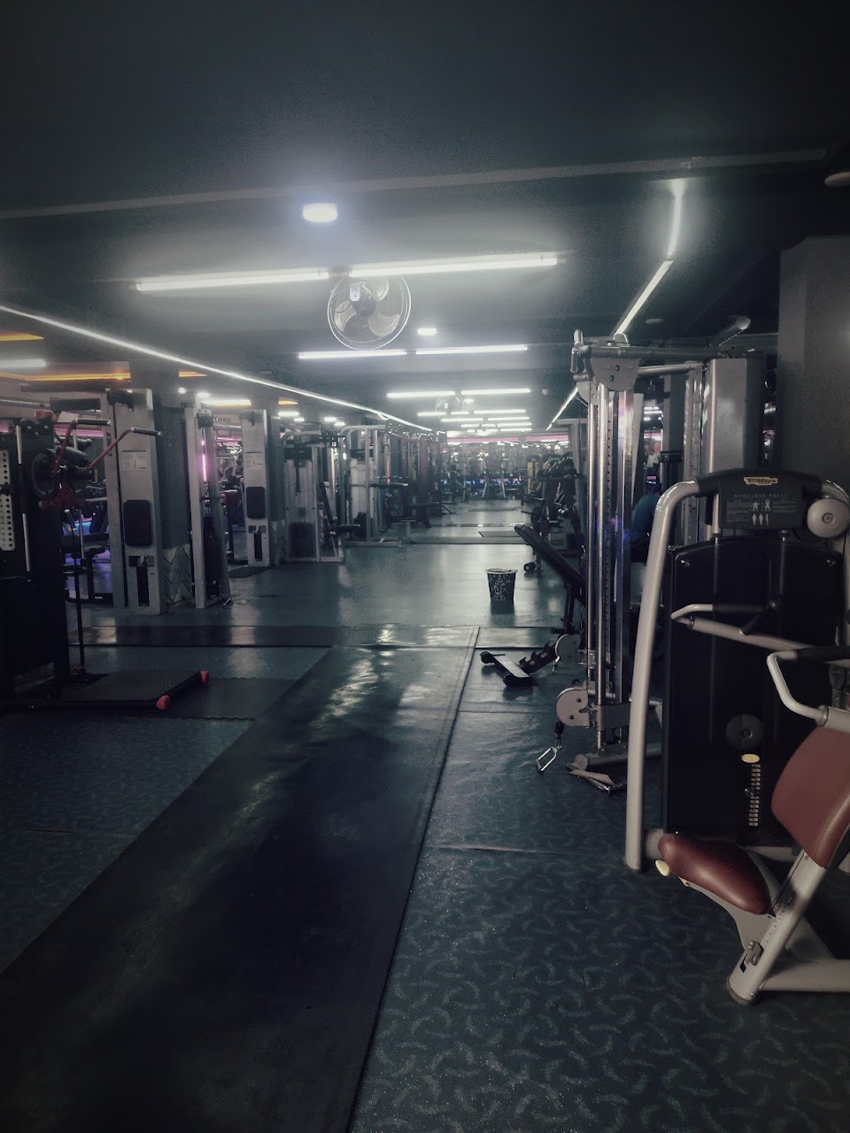 Association BECHAR FITNESS CLUB — photo 3