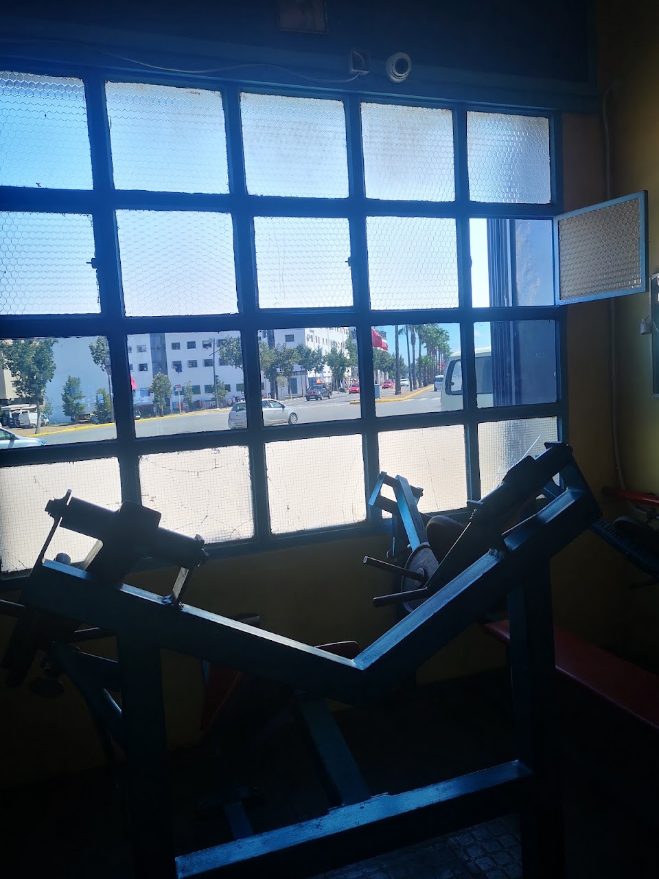 Salle de musculation WIAAM — photo 3