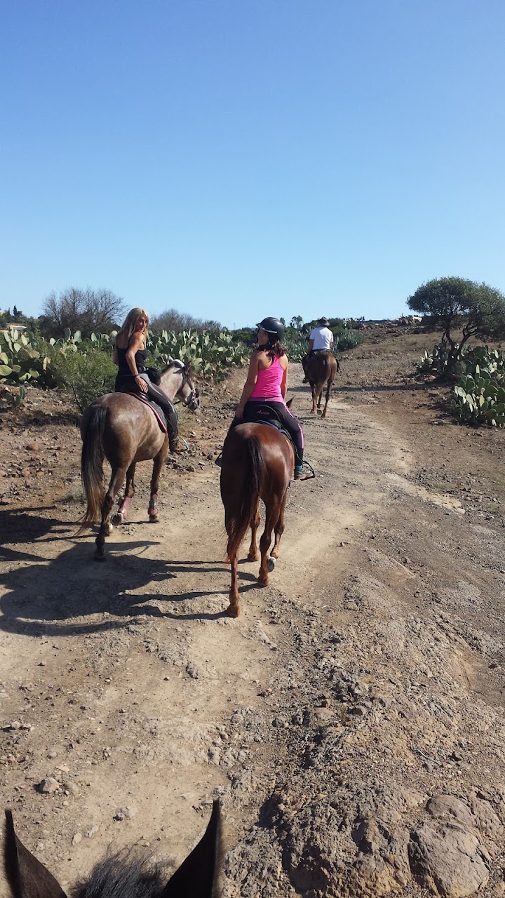 Finca caballos "Finca la Yeguada de Tisamrin" — photo 3