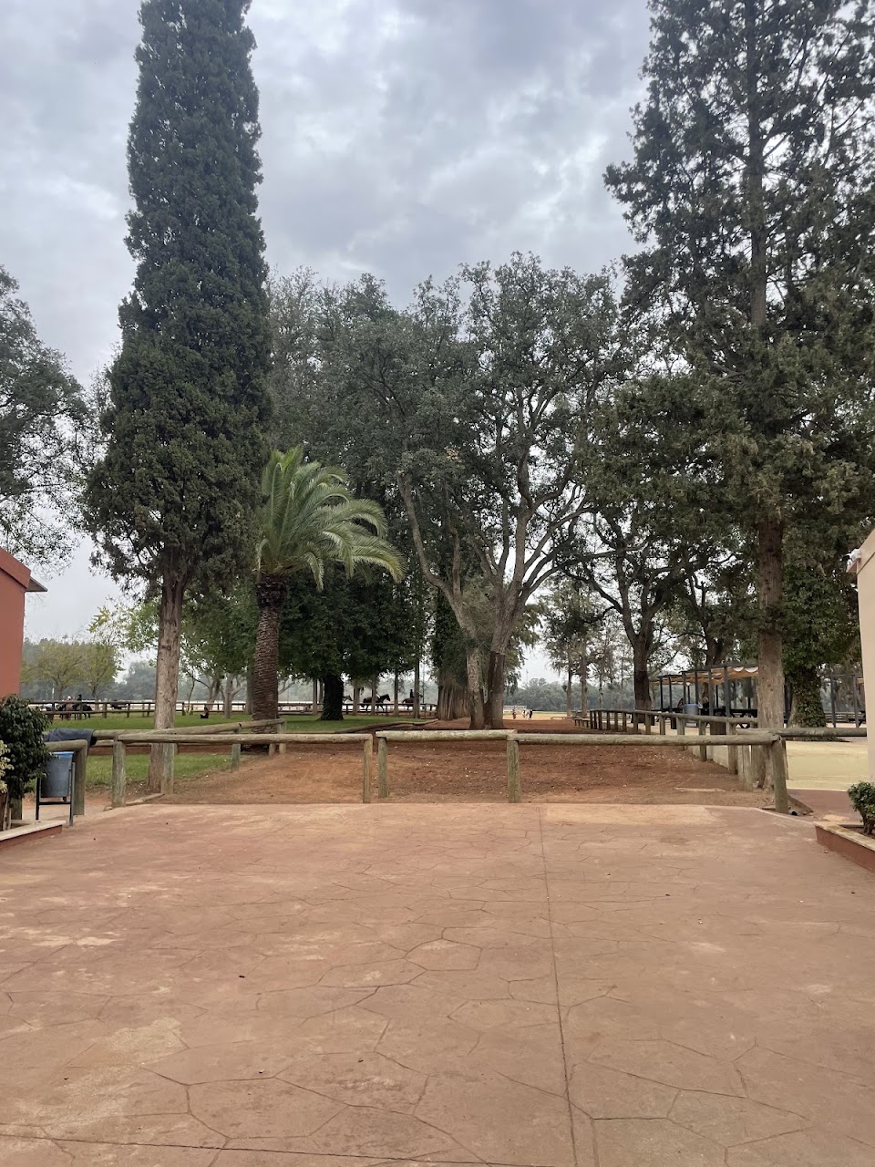Dar Es-salam Equestrian Sport