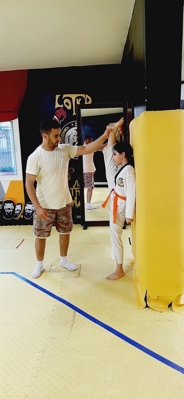 Legend of taekwondo (team SAIN) — photo 3