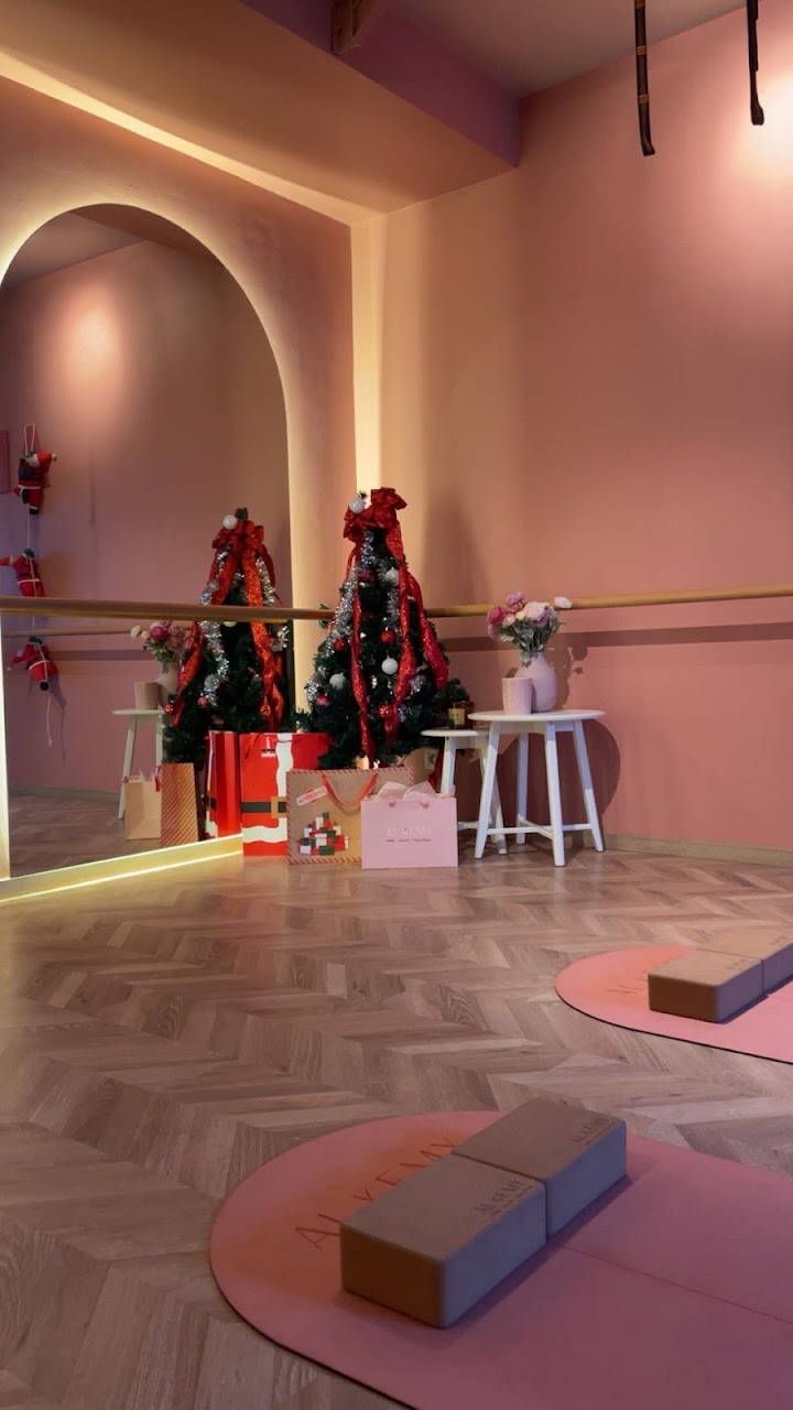 Alkemy - Bar Pilates & Yoga Studio — photo 4