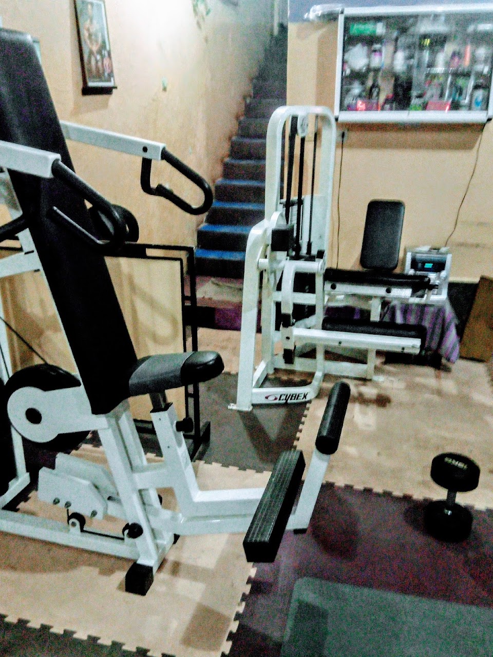 Le monde des muscles — photo 2