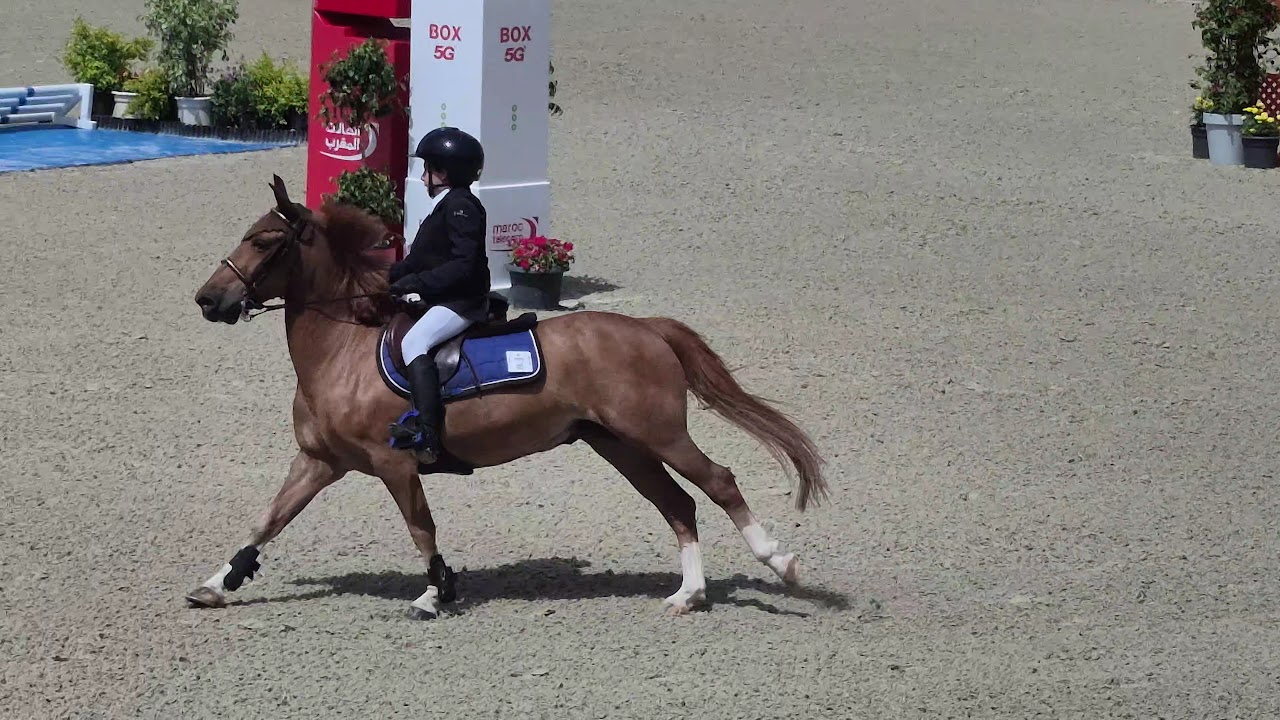 Dar Es-salam Equestrian Sport — photo 2