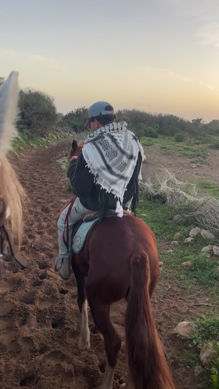 horse riding Sidi Kaouki (cheval)🐎🫶🏻 — photo 2