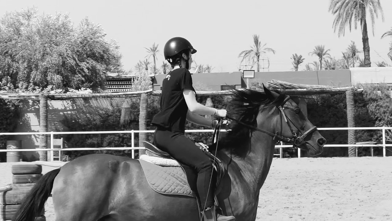 Les Amis Du Cheval Marrakech — photo 2