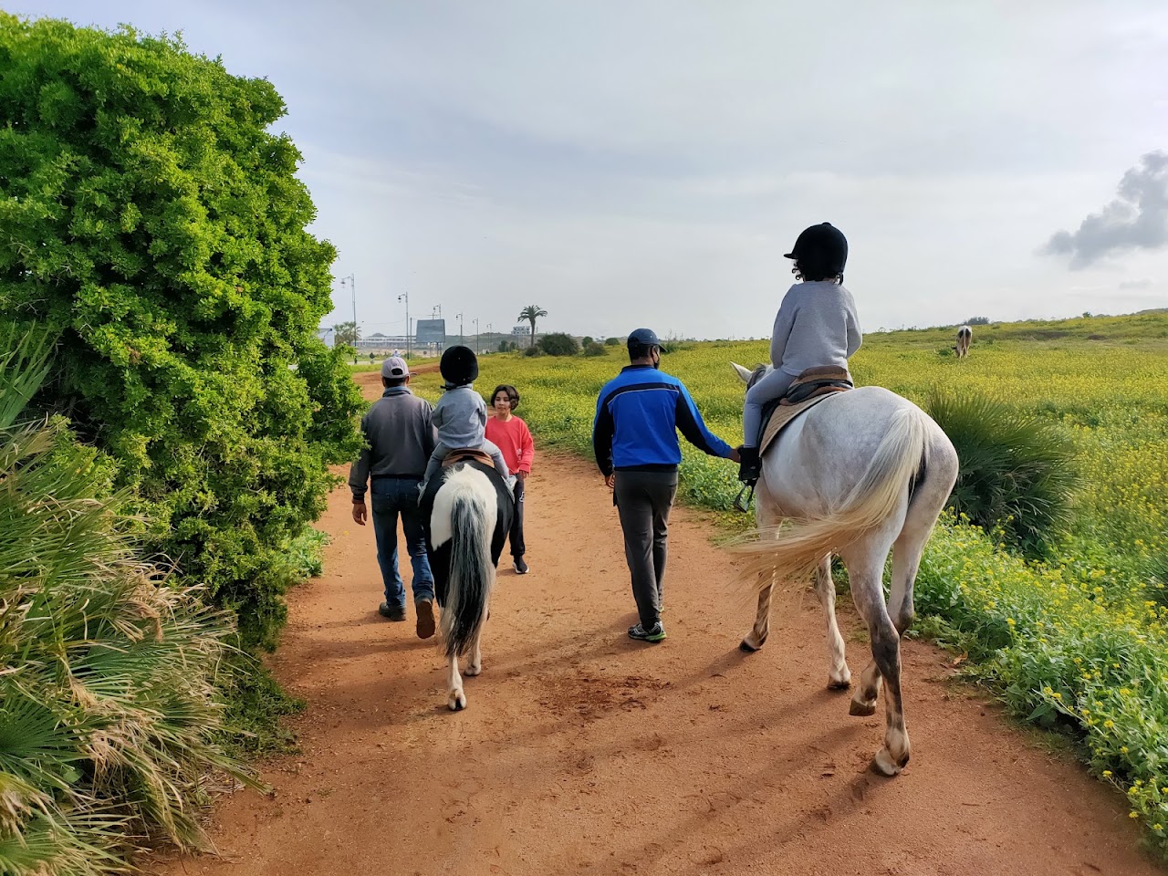 Club Equestre Oued Ykem — photo 3