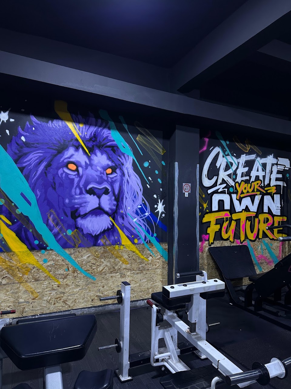 BEST FIT GYM — photo 4