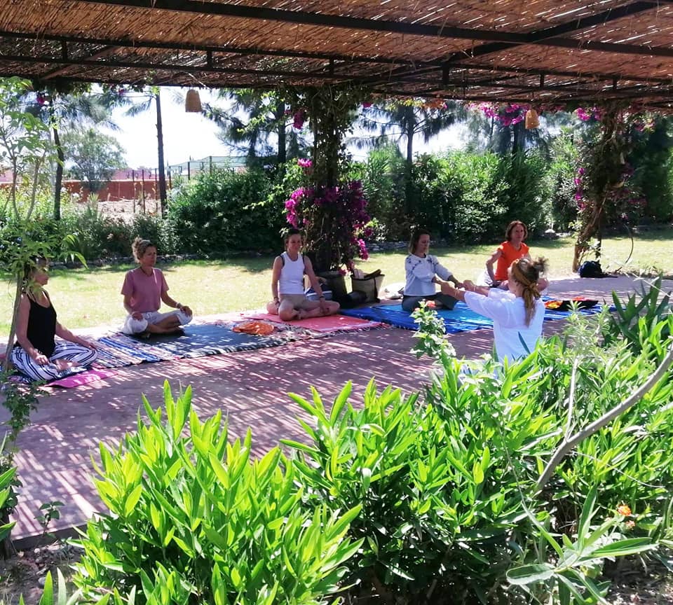 Coach In Yoga Private — photo 2