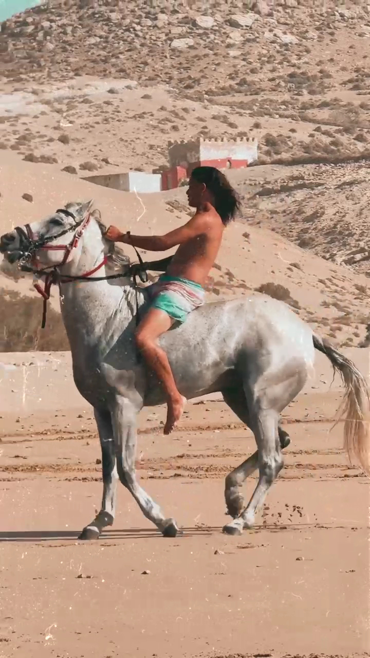 Cheval Kaouki — photo 4