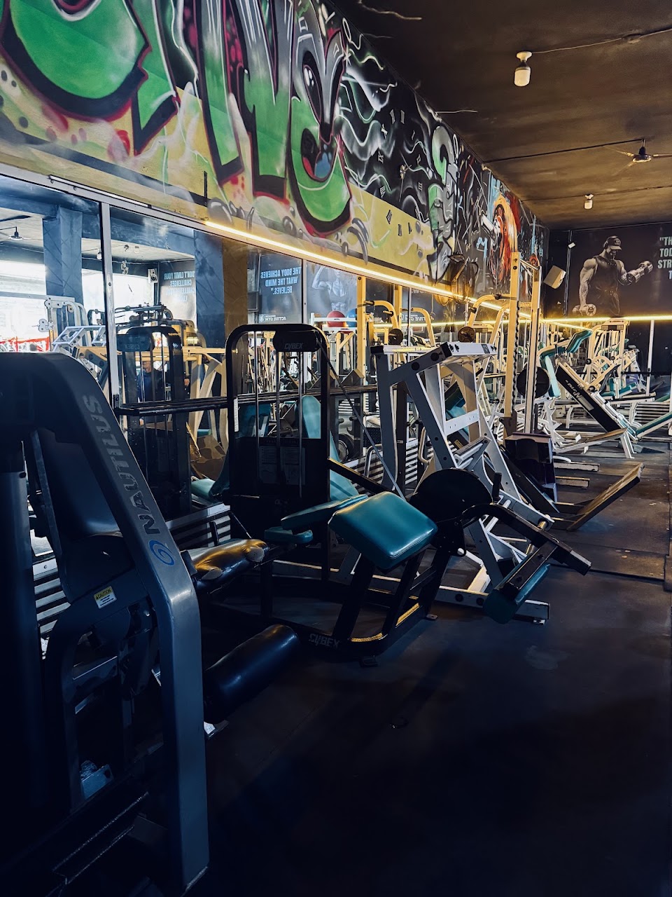 Krikich gym — photo 3