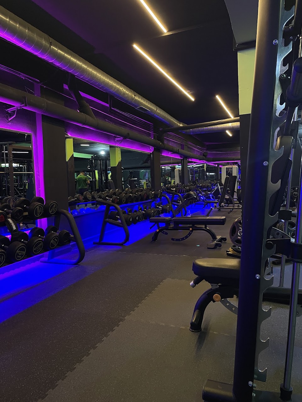 King Sports — photo 2