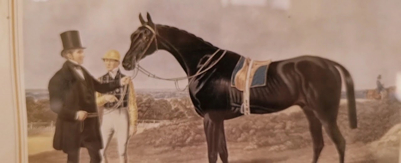 Club Farah D'équitation — photo 2
