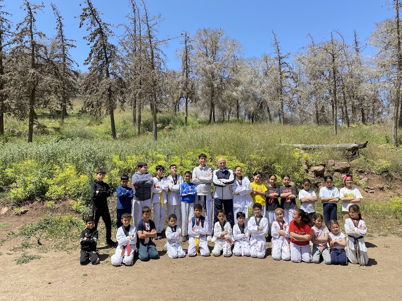 Royal club taekwondo zegangan — photo 2