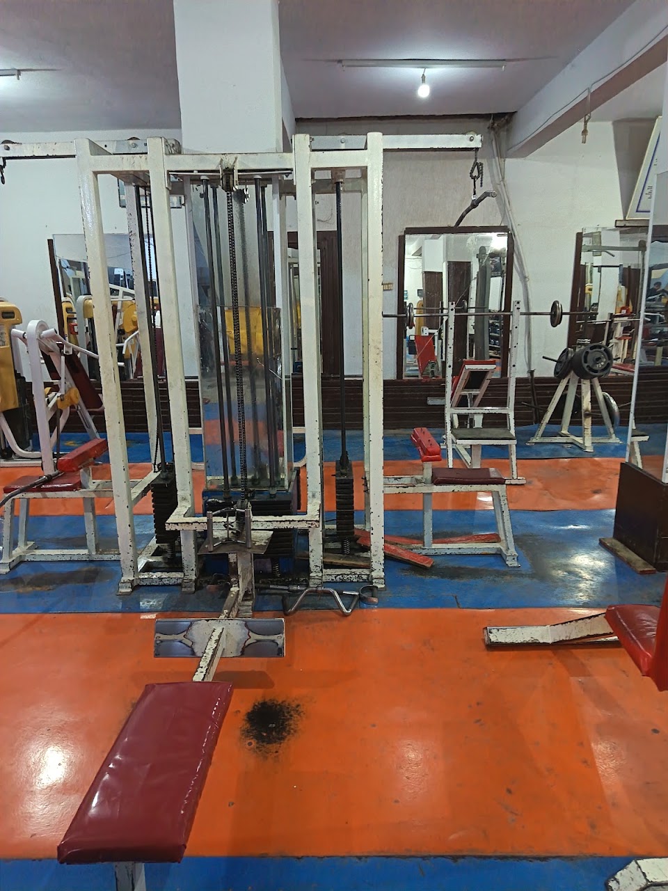 GYM Royal — photo 2