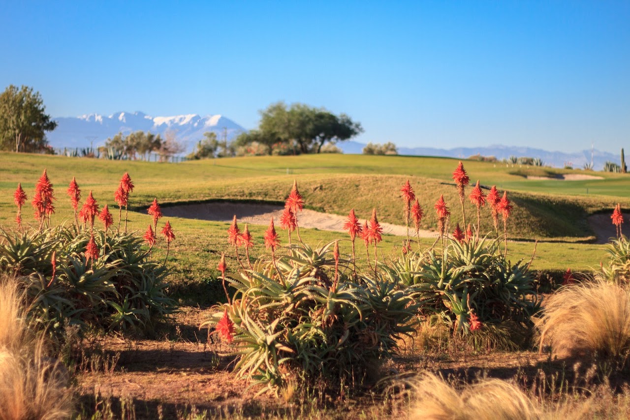 Samanah Golf Club by Nicklaus — photo 3