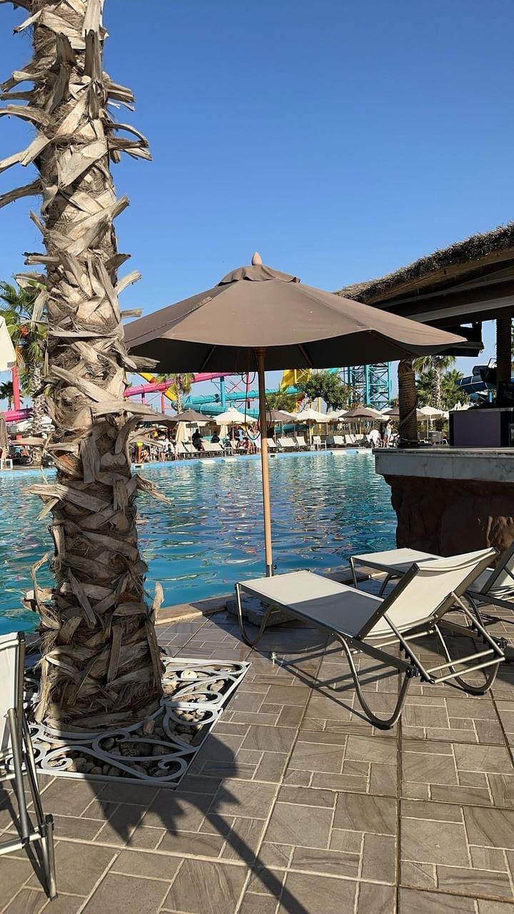 Swimming Pool — photo 3