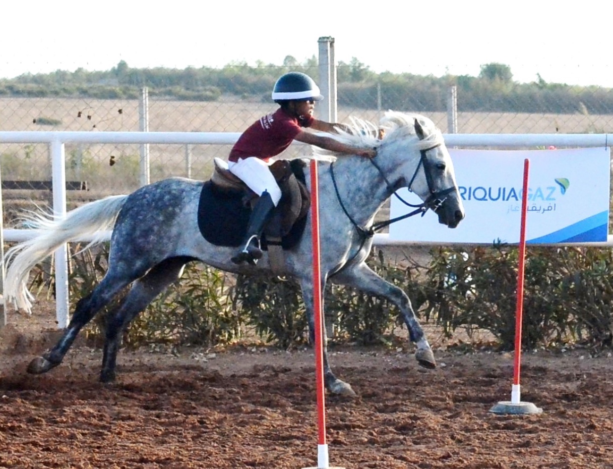 Royal Club Equestre du Lac — photo 4
