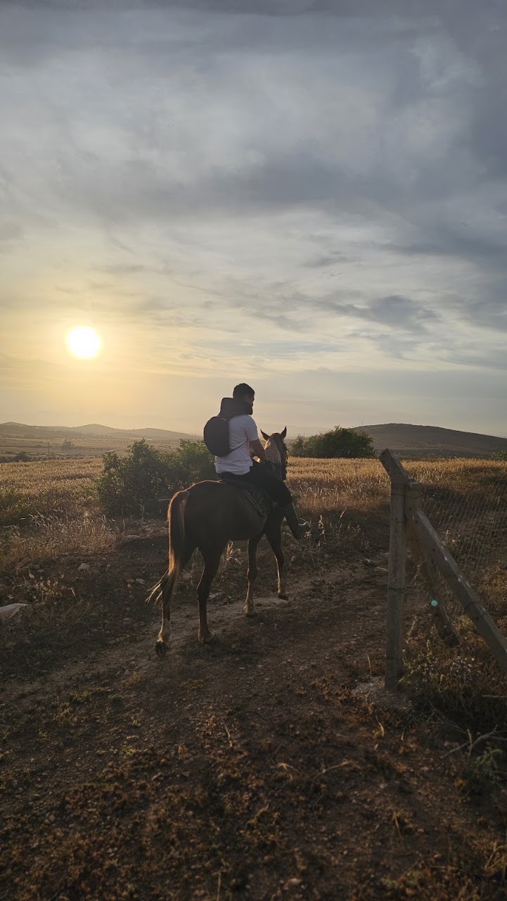 El jawed club equestre