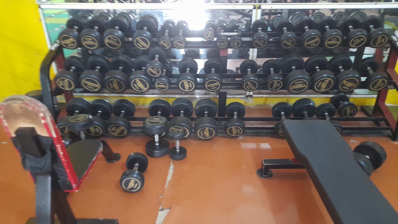 Star Gym — photo 2