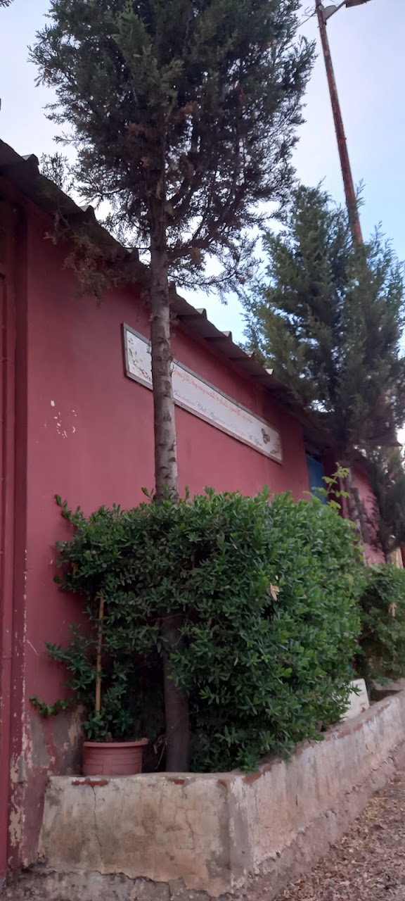 نادي الزهور للكرة الحديدية الأزهار-ACAPA — photo 3