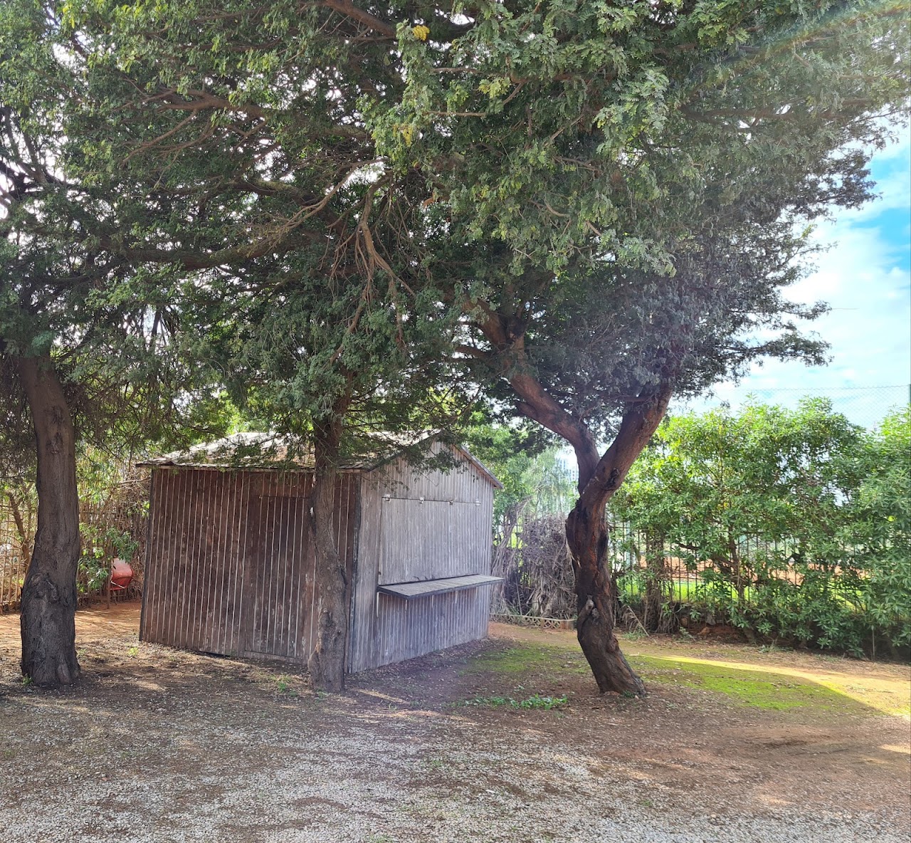 CAFC Tir à l'arc — photo 4