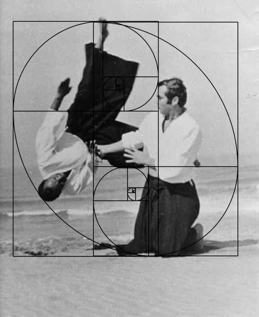 Syudokan Alaoui Aikido Ryu — photo 4