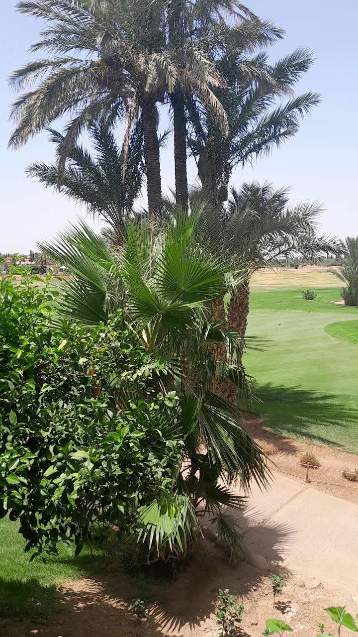 Amelkis Golf Club. Blue Course — photo 2