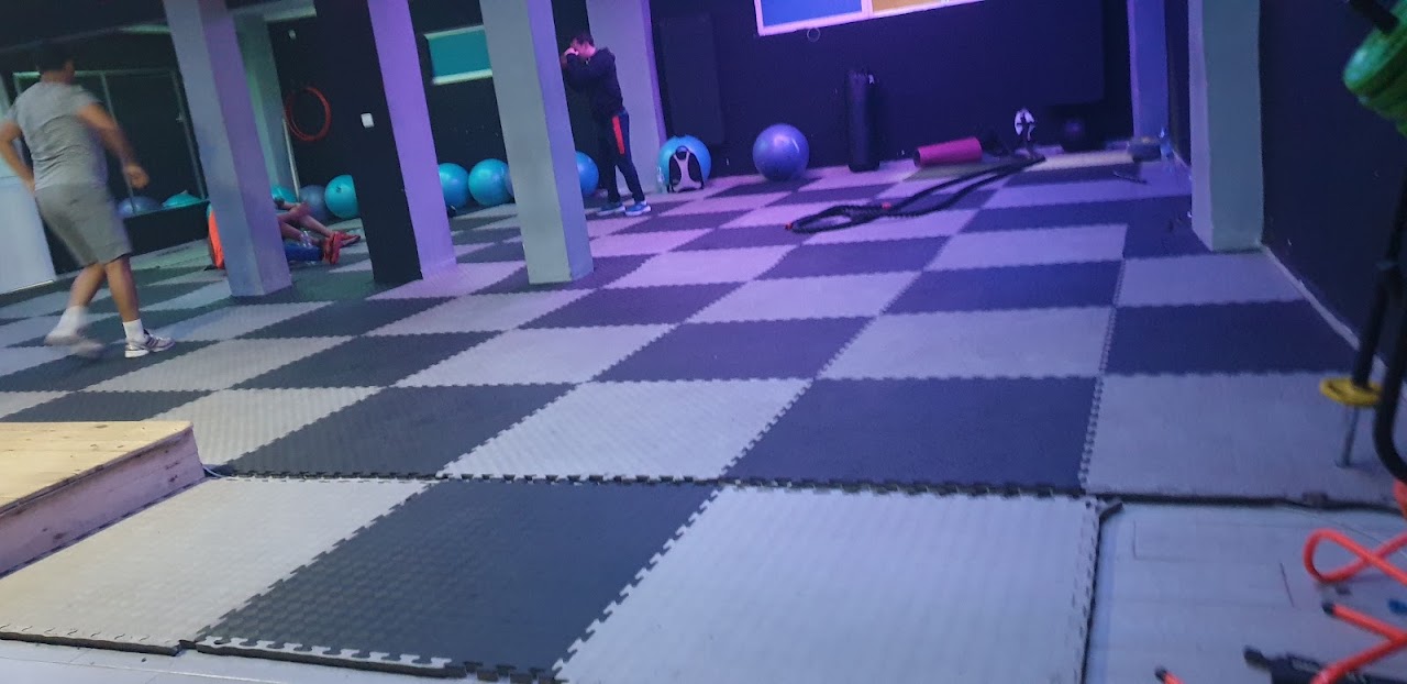Pro Gym Fitness — photo 4