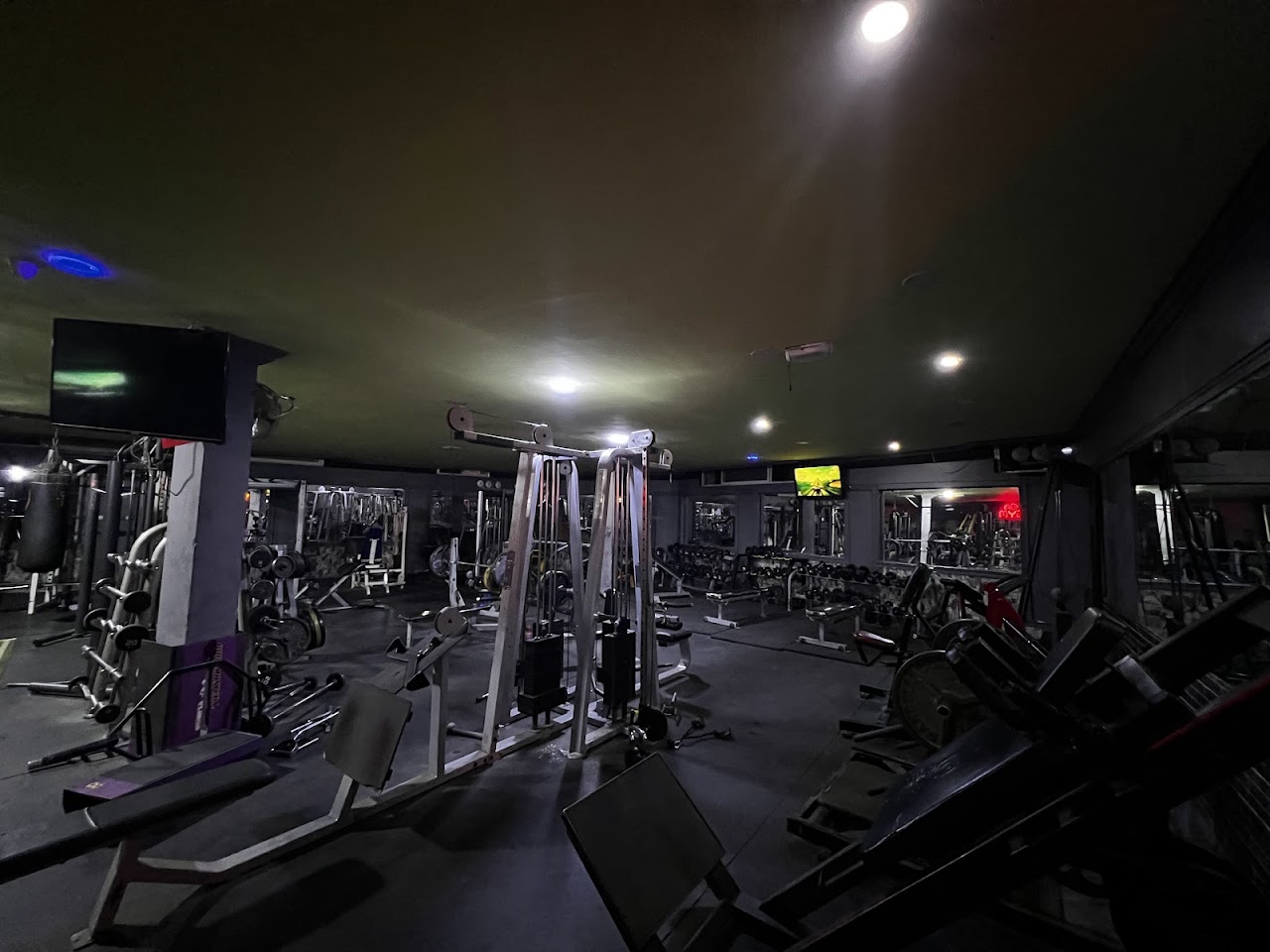 Salle de Gym & de Musculation