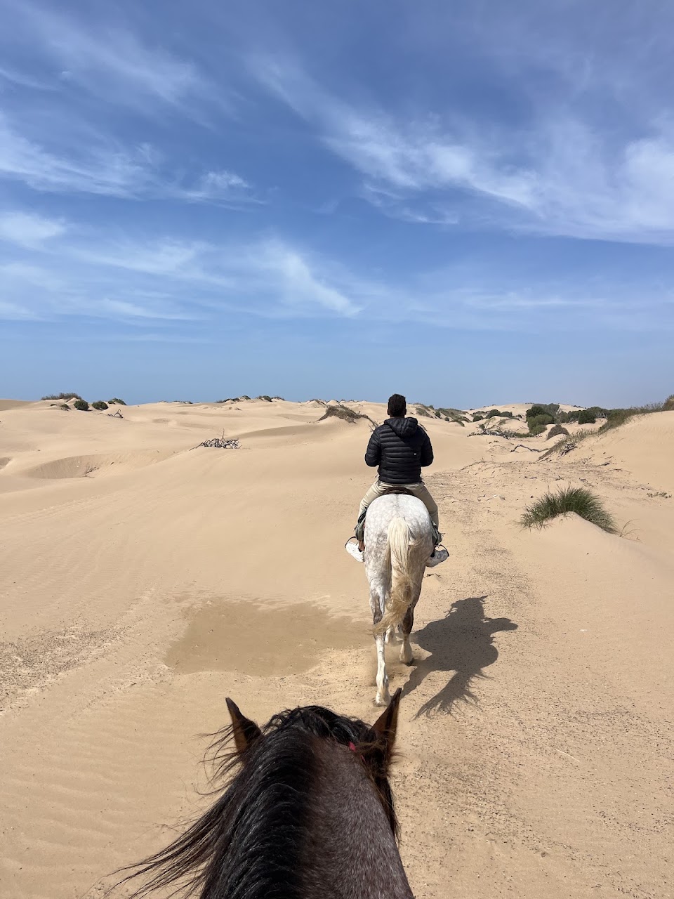 Mohammed - Simo • Horseriding Essaouira — photo 3